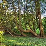 Дом отдыха Waltraud Plattenburg