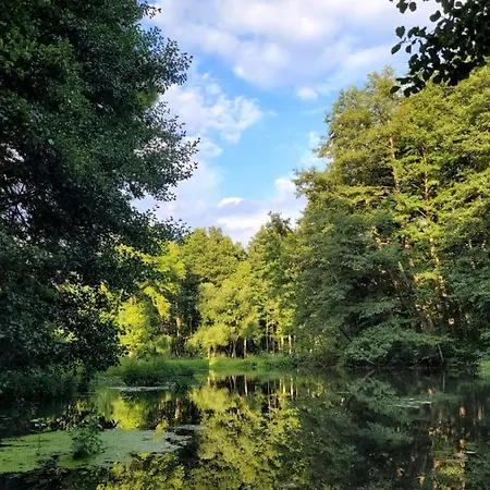 Waltraud בית נופש