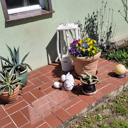 Waltraud בית נופש