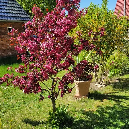 Waltraud בית נופש *