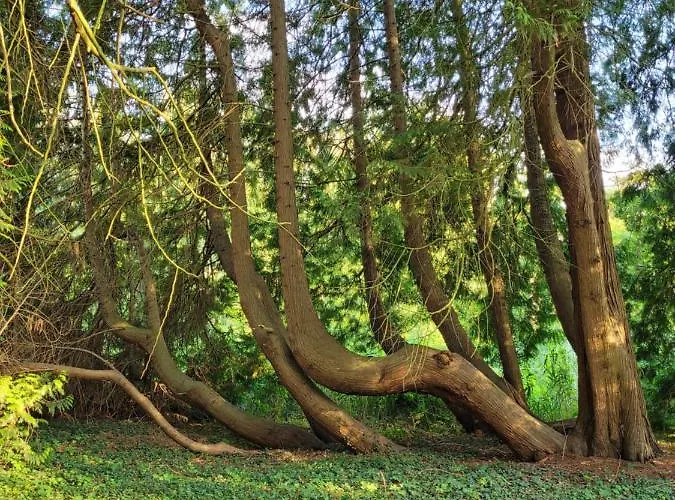 Feriehus Waltraud Plattenburg